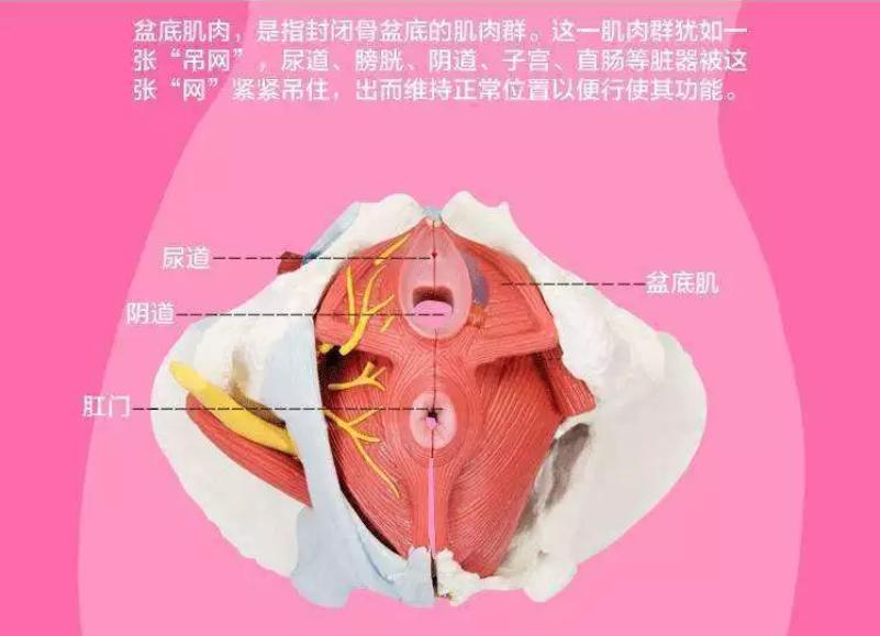 生活不和谐怎么办,两性不和谐怎么样治疗