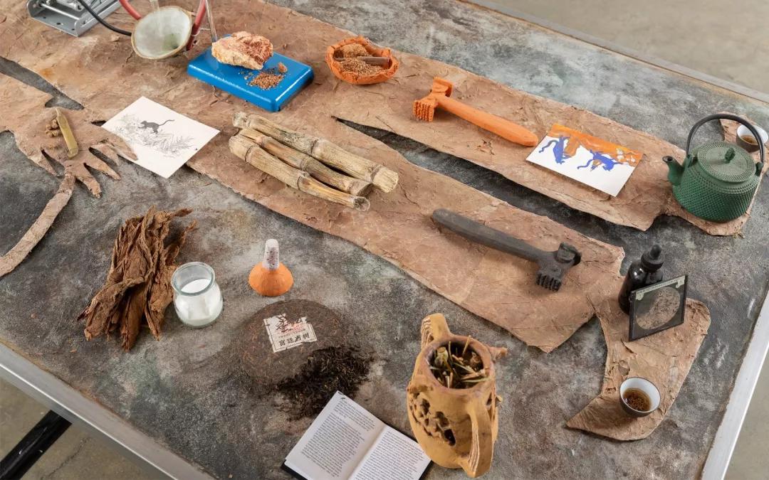 2017年迈阿密艺术博览会作品展示,2019年迈阿密魅力秀