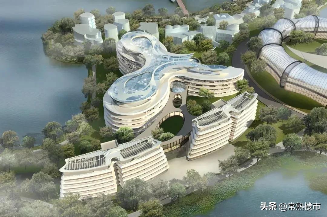 毫不夸张！国际医疗+酒店+学校，这才是南部新城的爆点