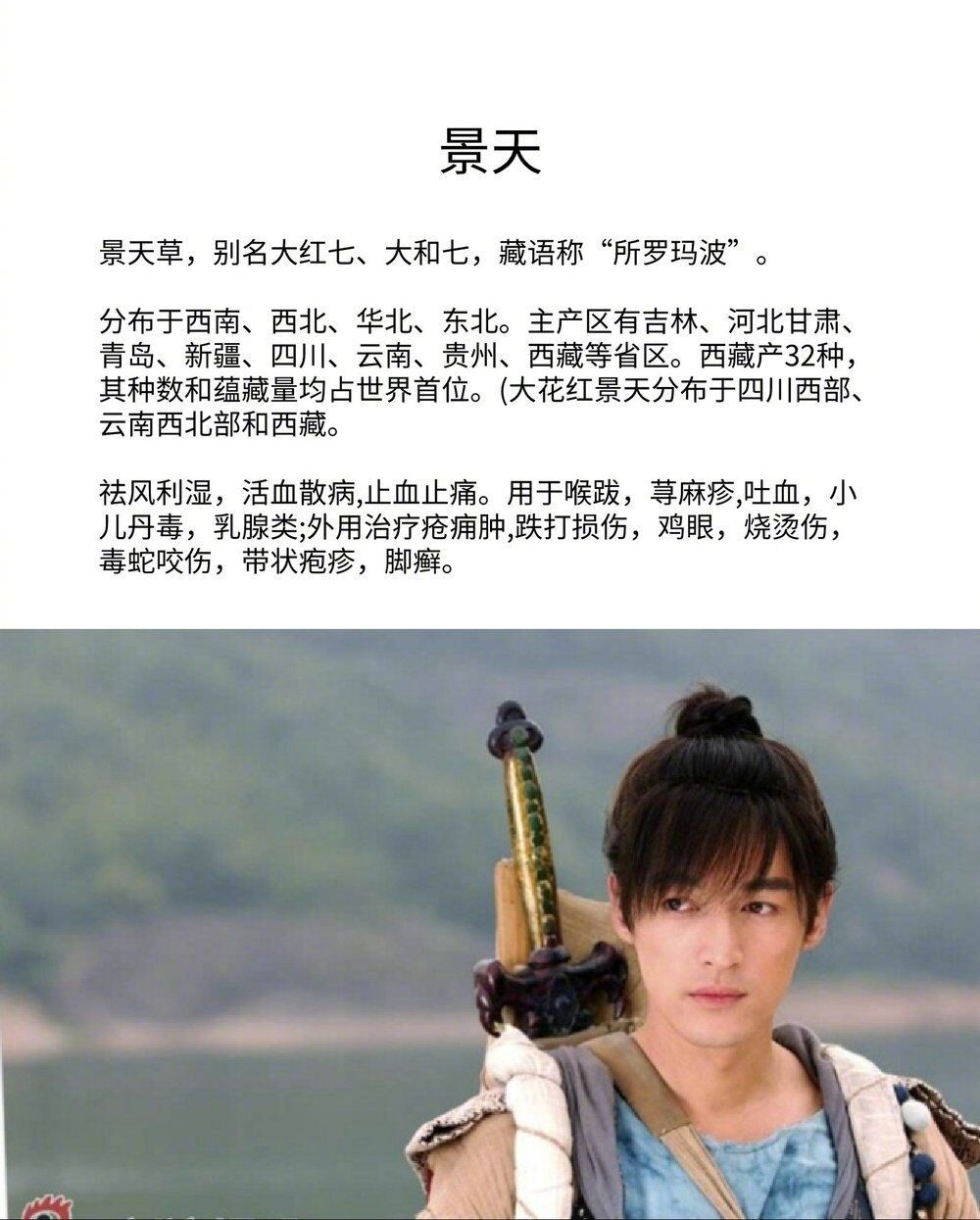 仙剑三景天拔不出的剑,胡歌仙剑3景天邪剑仙