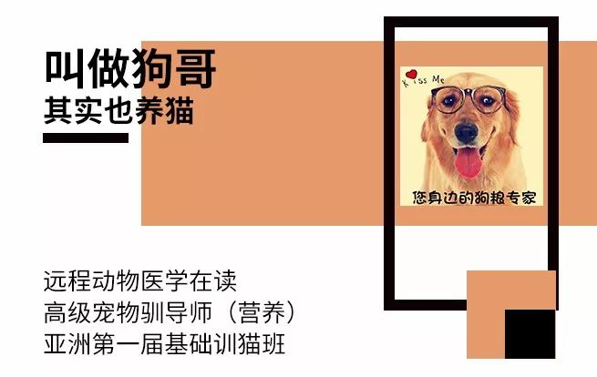 河北狗粮生产作坊,三无作坊生产狗粮