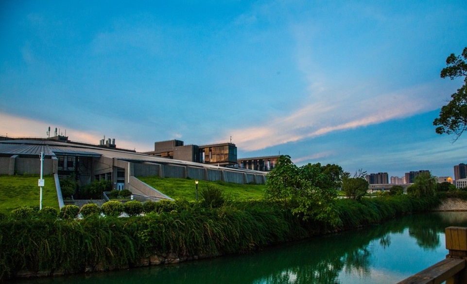 中南大学优势学科排名,中南大学王牌专业一览表