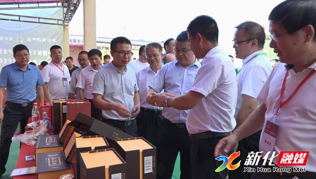 湖南黄精产业座谈会,新化县黄精产业