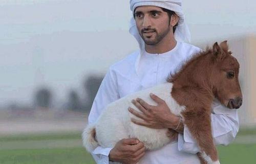 迪拜为什么那么有钱还要穿着白袍,迪拜人天天穿白袍还有别的衣服吗