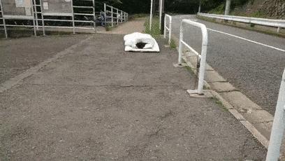 日本女版“手工耿”凭沙雕发明火遍全网，她还是个偶像女团成员？