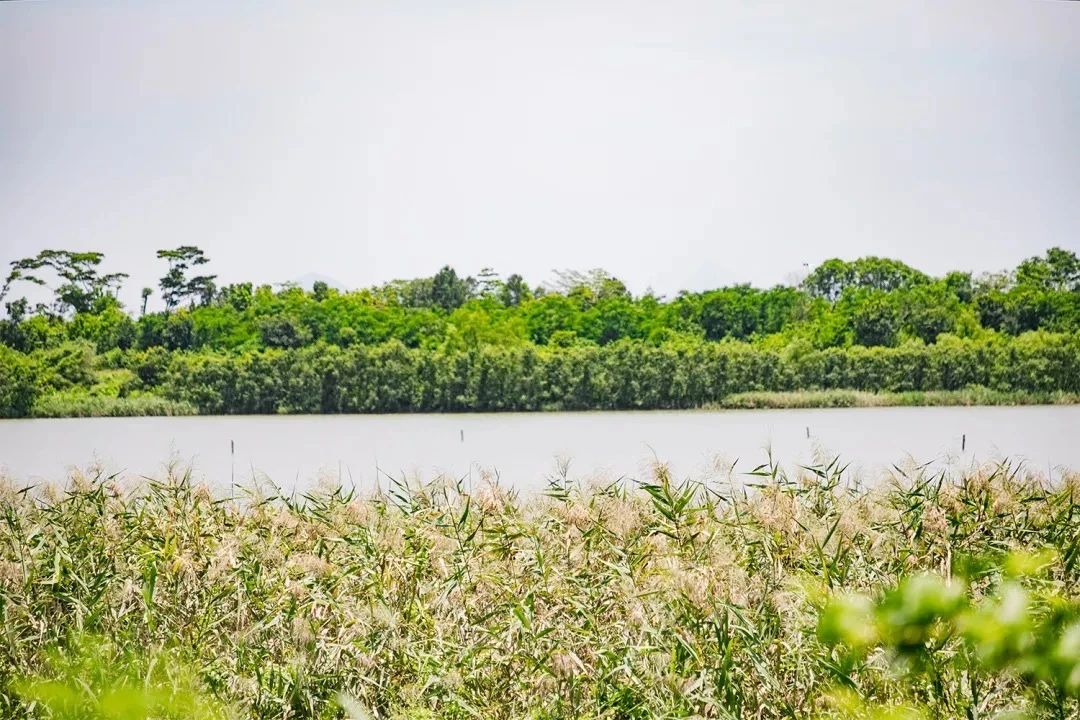最美湖泊小众风景,最美湖泊西湖