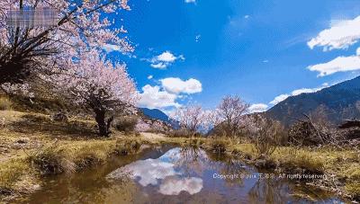 去了10次也不腻的地方,芜湖最值得一去的地方