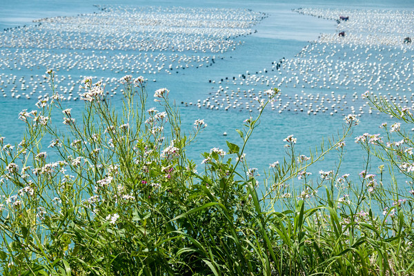 嵊泗列岛旅游攻略三天两夜,嵊泗列岛3天两夜旅游攻略