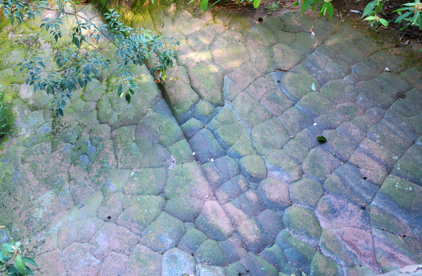 徐霞客龟峰游记全文,徐霞客江西游日记龟峰