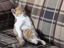 换季保湿推荐用什么护肤品,天冷了用哪款护肤品比较水润