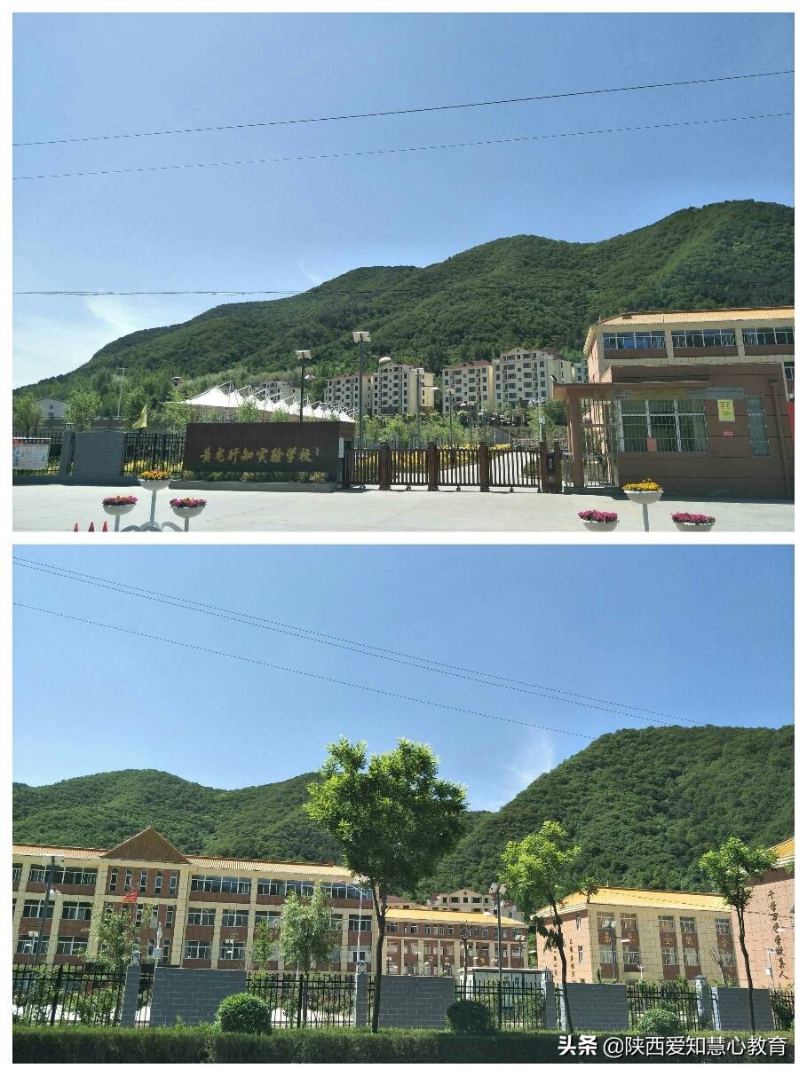 行知教育喜报,行知教育行知杯足球比赛