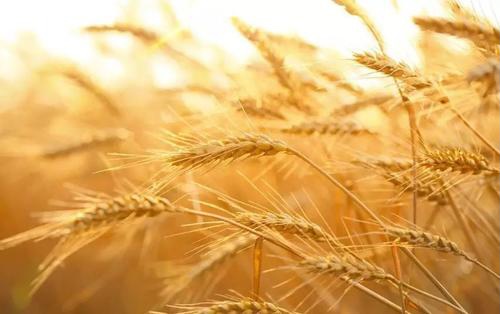 浼犵粺鏂囧寲甯歌瘑鍘嗘硶,浼犵粺鏂囧寲甯歌瘑鍘嗘硶鍒嗙被