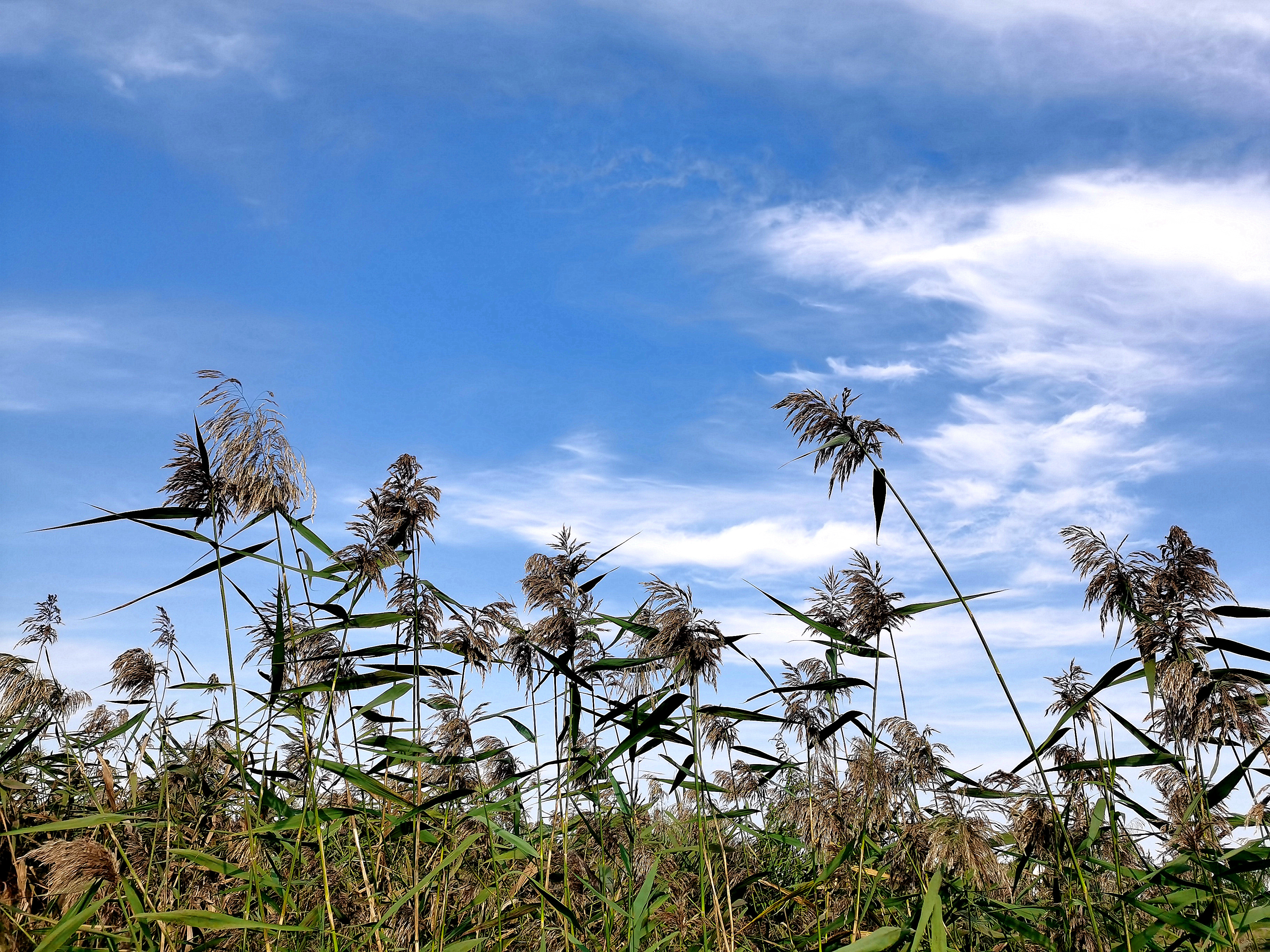 荆山旅游景点大全,荆山美景