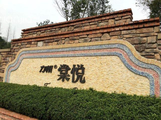 重庆的富人都在哪里买别墅,重庆的富人一般住在什么地方