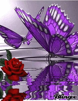 这是我见过最美的风景吗,这是我见过的最美的风景英语