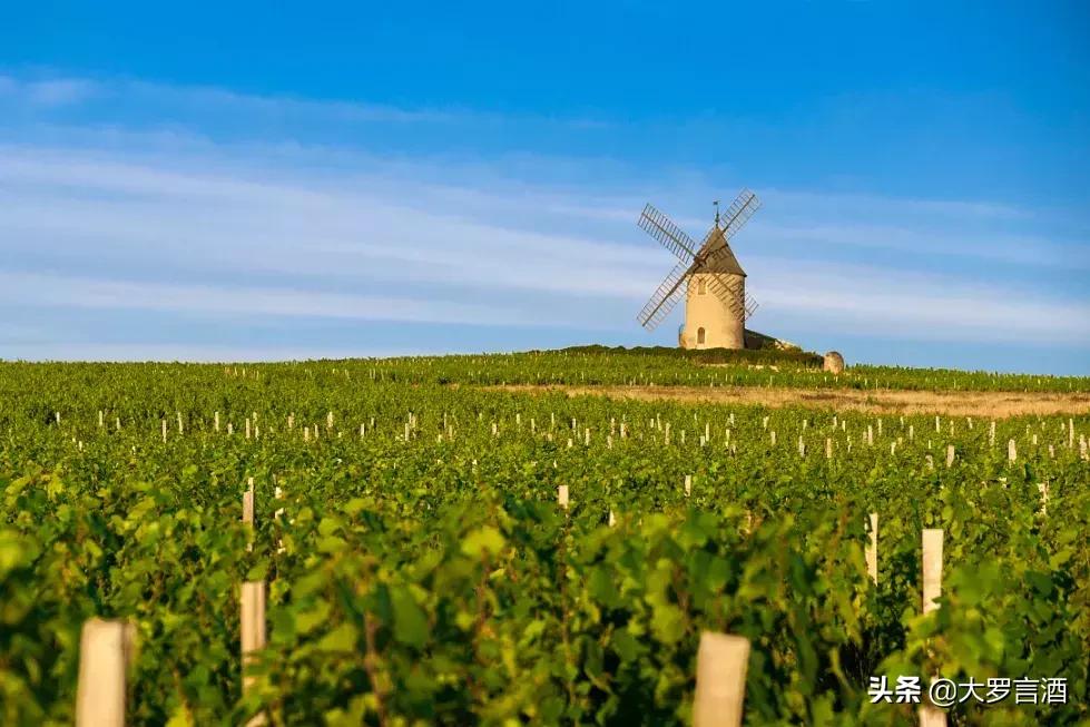 缇庨涔嬮兘,閲屾槀缇庨