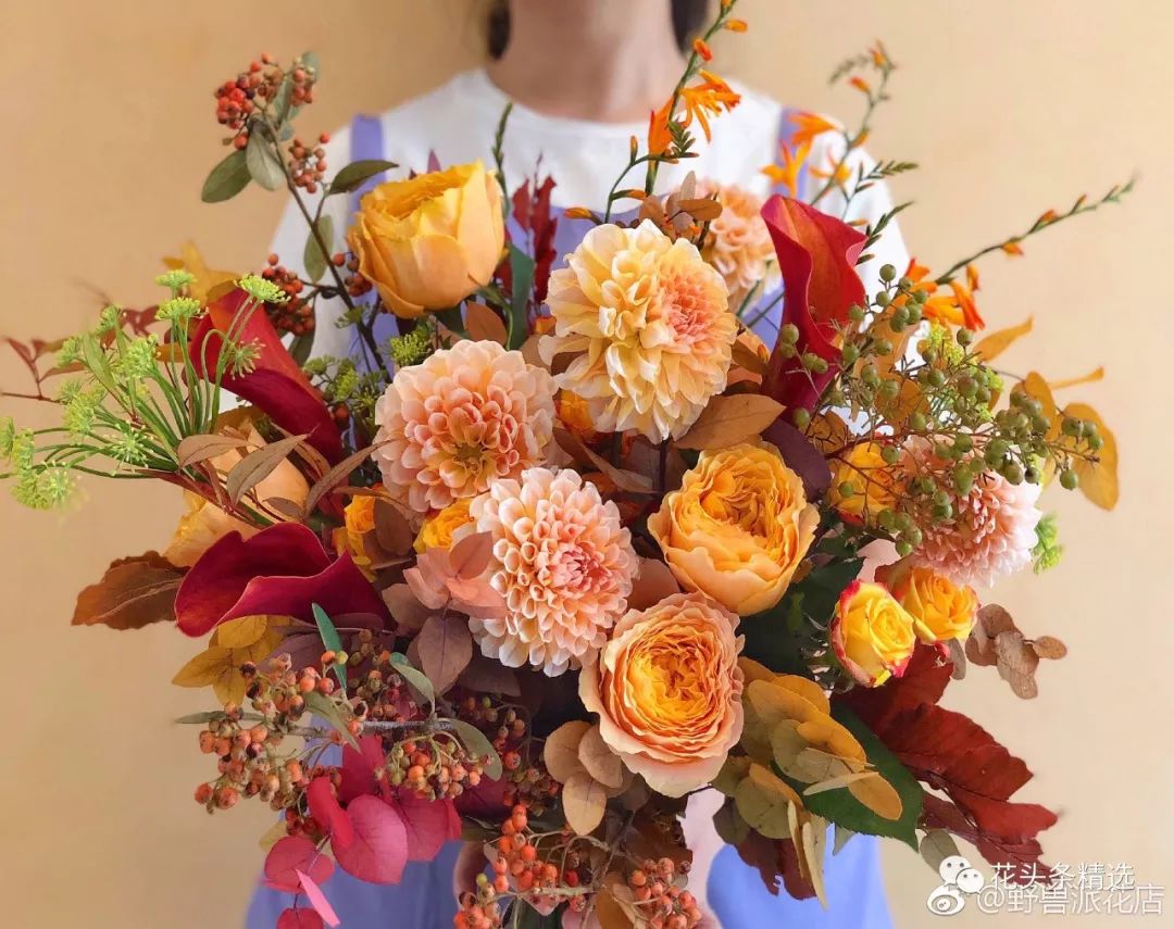 最优质的北美冬青,北美冬青性价比高的