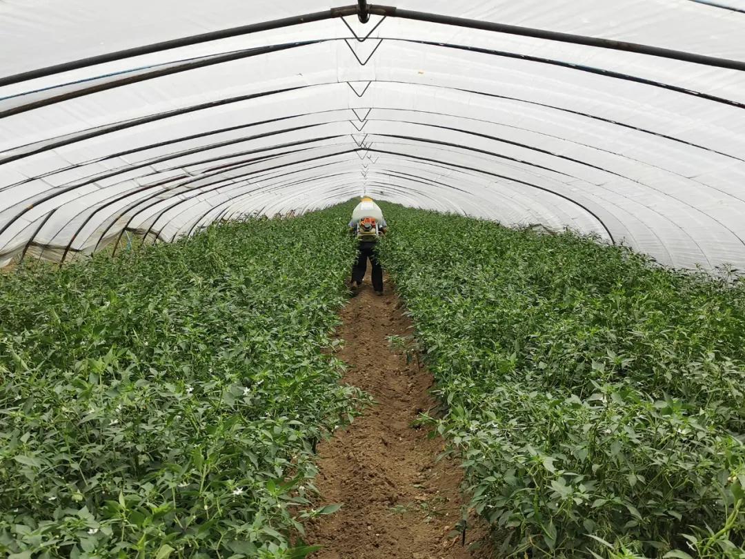 鍐滄皯鏃ユ姤涔℃潙鎸叴鎶ラ亾,鍐滄皯鏃ユ姤绯诲垪鎶ラ亾