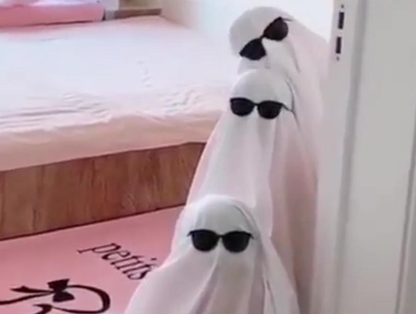 妈妈生气了怎么哄,惹妈妈生气了怎么哄妈妈开心