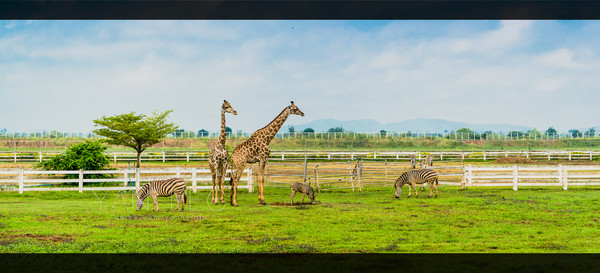 泰旅局发布2019年泰国旅游新玩法,曼谷漫游攻略