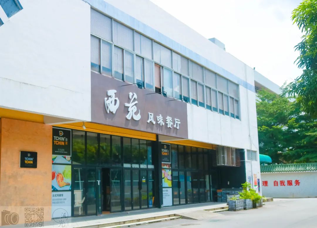 广东高职高考应该看什么,中山职业技术学院2024招生简章