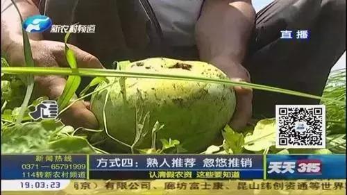 真正的假肥料有哪些,四种假肥料不骗人