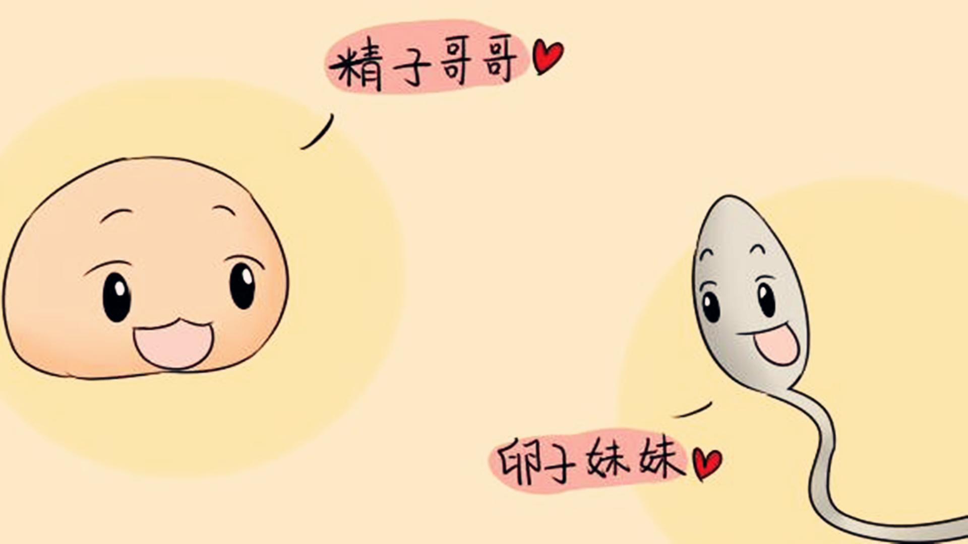 为什么只有1颗精子与卵子结合,3亿精子与一个卵子结合吗