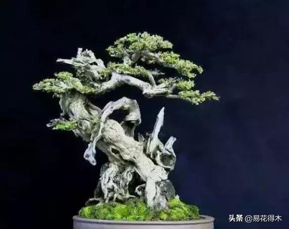 下山桩杀根没到位怎么处理,下山桩的处理方法