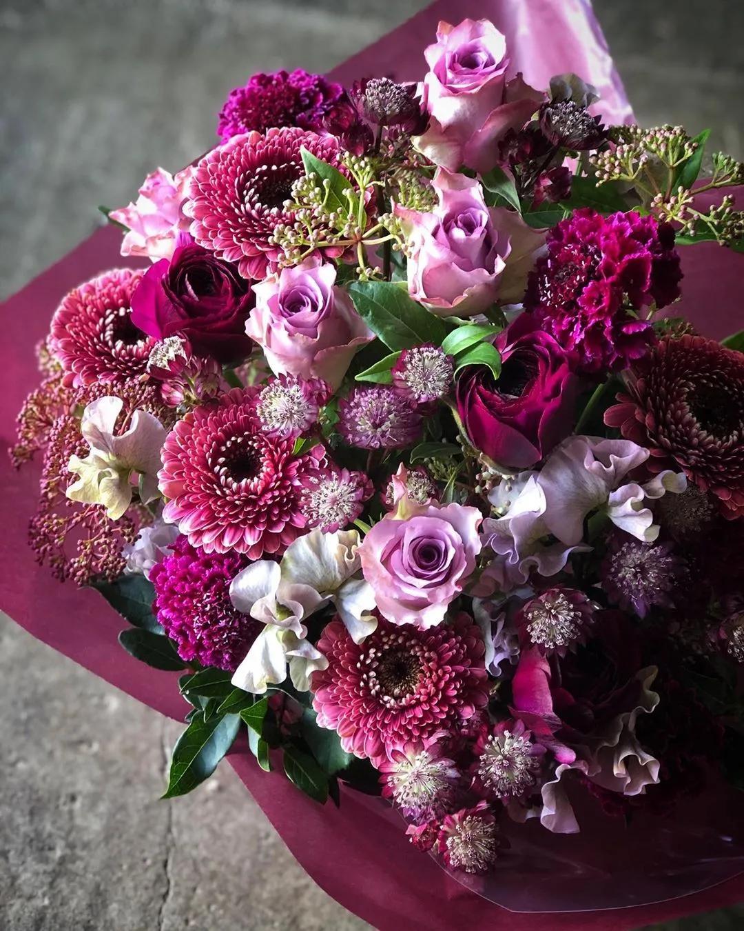 2019真实鲜花图片,2023鲜花爆款图文