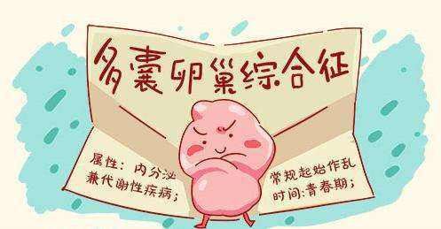 静医生备孕有人成功吗,静医生备孕