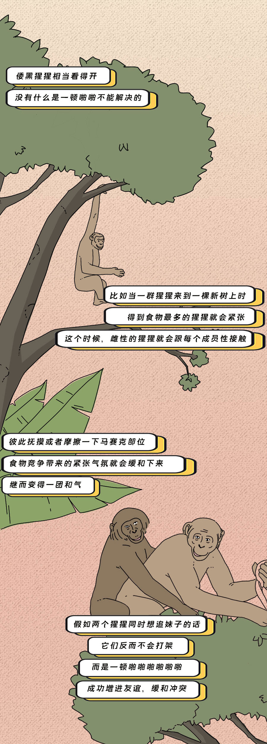 论啪啪啪，人类可比不上它们……