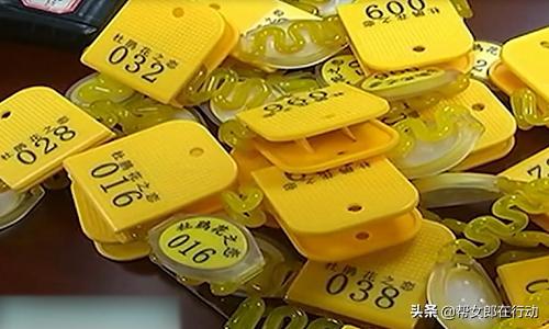 养生会所扫黄被抓组织者怎么处理,养生会所会被扫黄吗