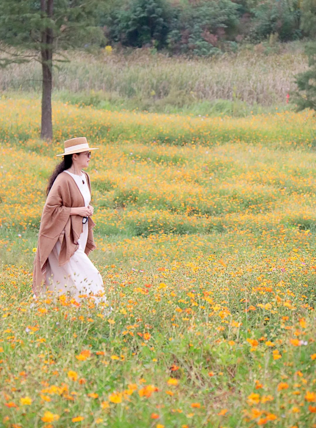 抓住春天的尾巴鸟语花香,抓住花海的尾巴