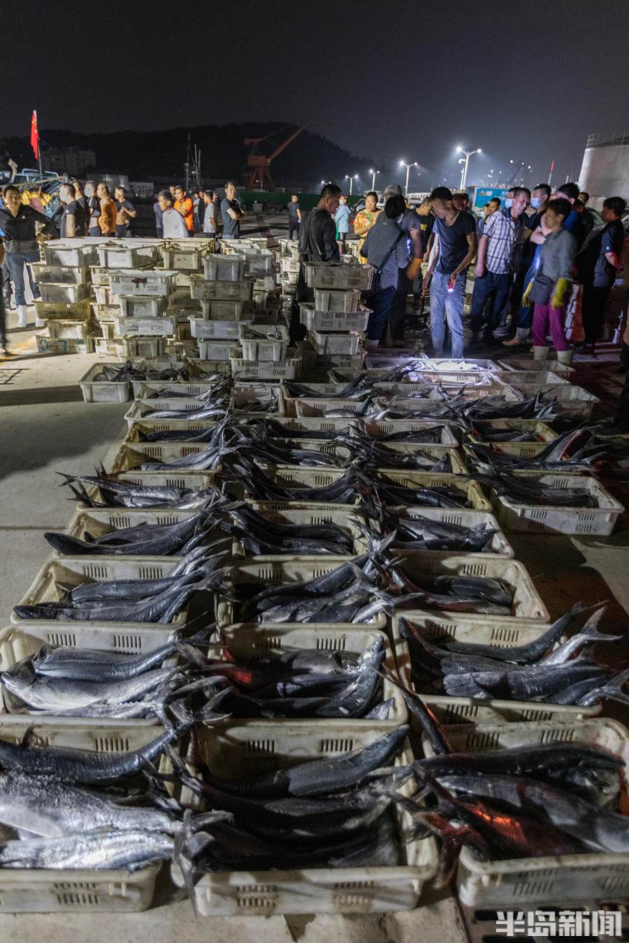 一线观察直击现场,一线记者直击