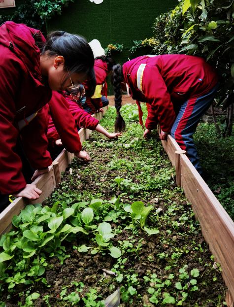 成都拥有丰富的教育资源,坐拥天时地利人和