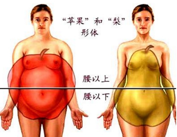 人很瘦肚子却很大,宝宝很瘦肚子很大怎么回事