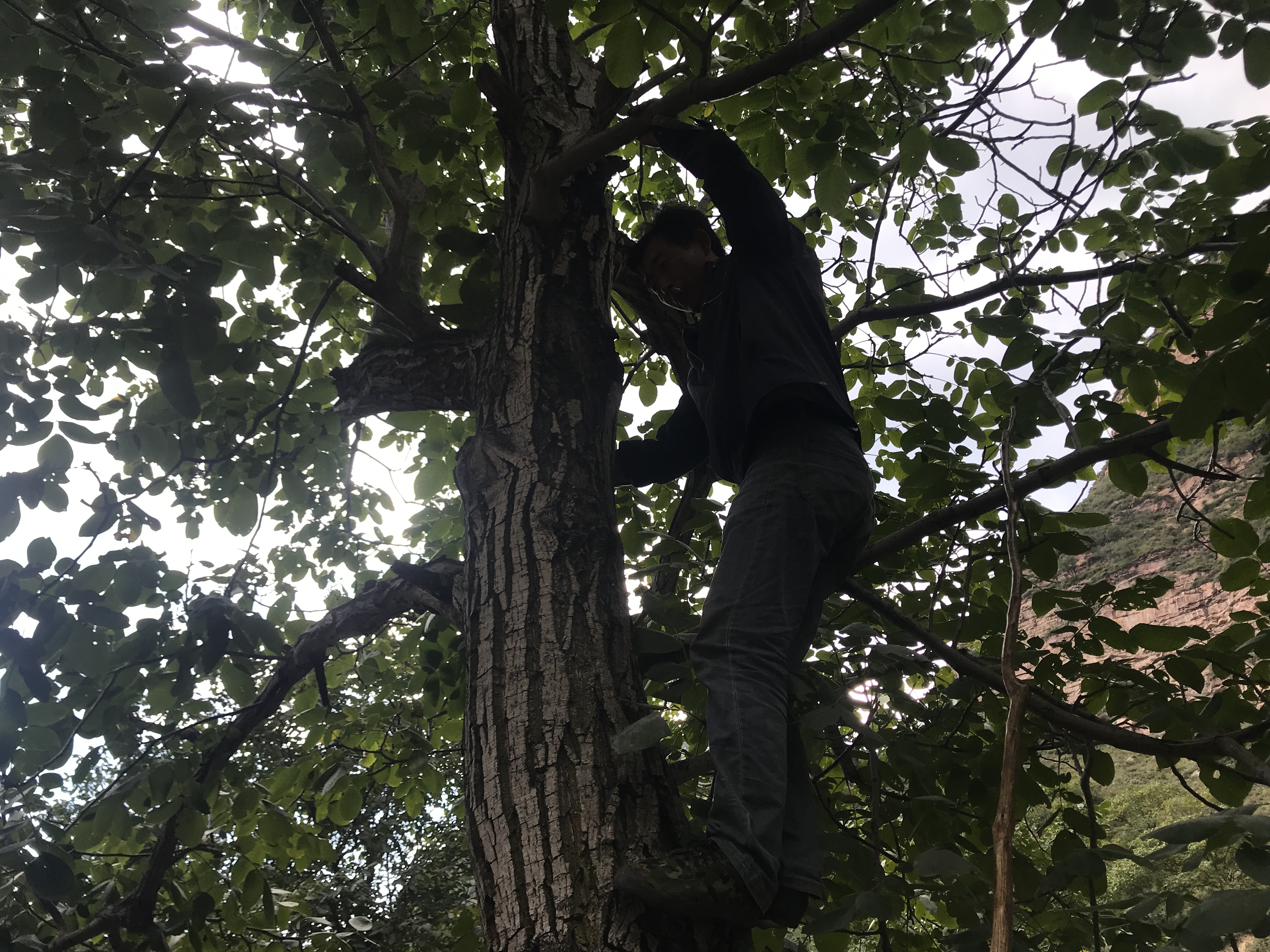 孩子爱吃甜食一嘴小黑牙，此招一出，父母小孩都快乐