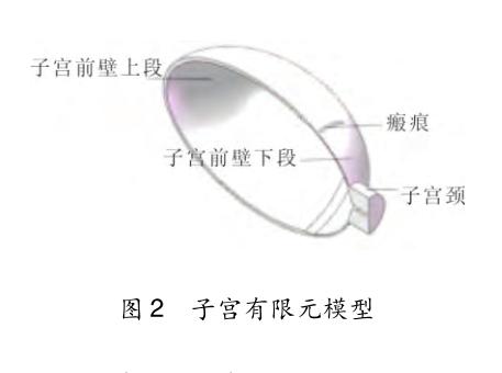 有限元应力分析结果有单位吗,产妇子宫模型