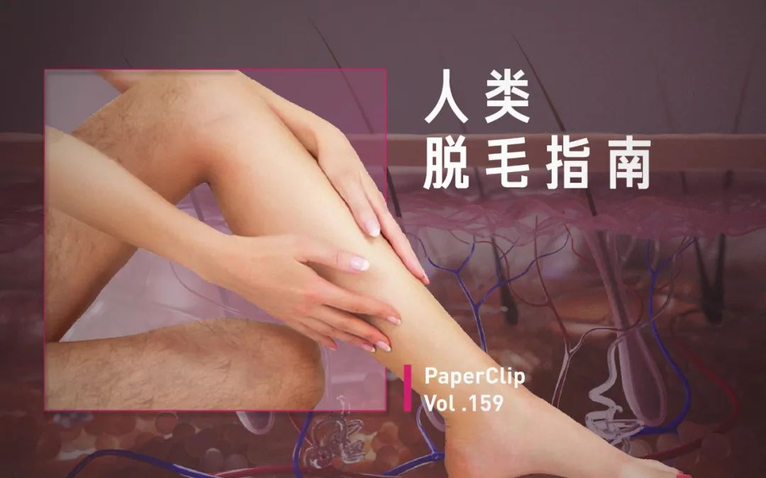 这场“内鬼”风波，到底打了谁的脸？