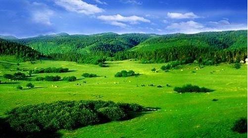 重庆避暑的好地方推荐一下,重庆本地人避暑去哪玩