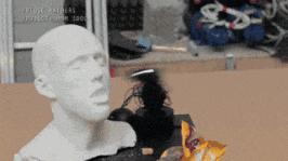 90年代发生了什么大事件,2010年都发生了些什么事