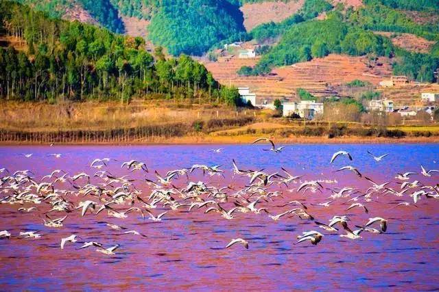 秋季人少景美的小众旅行地,最清静优雅的旅游之地