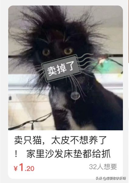 闲鱼神兽出售,闲鱼上买神兽靠谱吗