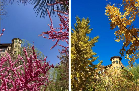 美好家园｜10年光阴易逝，不变的是美好