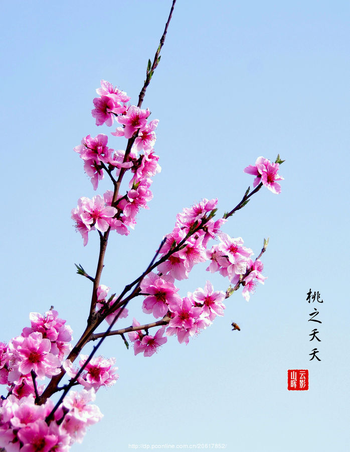 桃花源记是不是灵异故事小说,桃花源记是真的假的