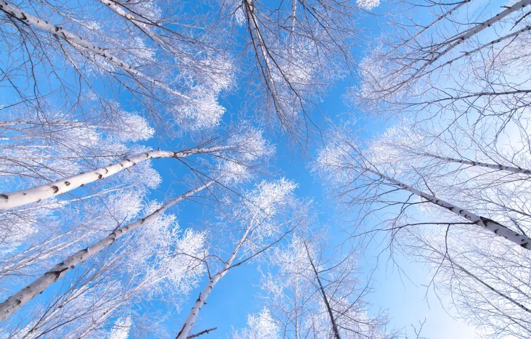 这才是国内34省区的最美天堂!