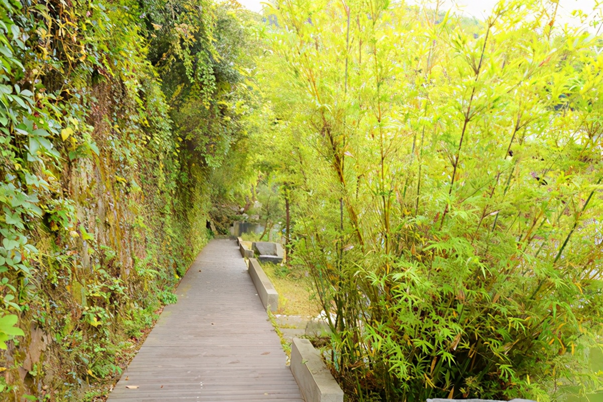 南昌梅岭曼山谷景区攻略,南昌梅岭曼山谷自驾游攻略