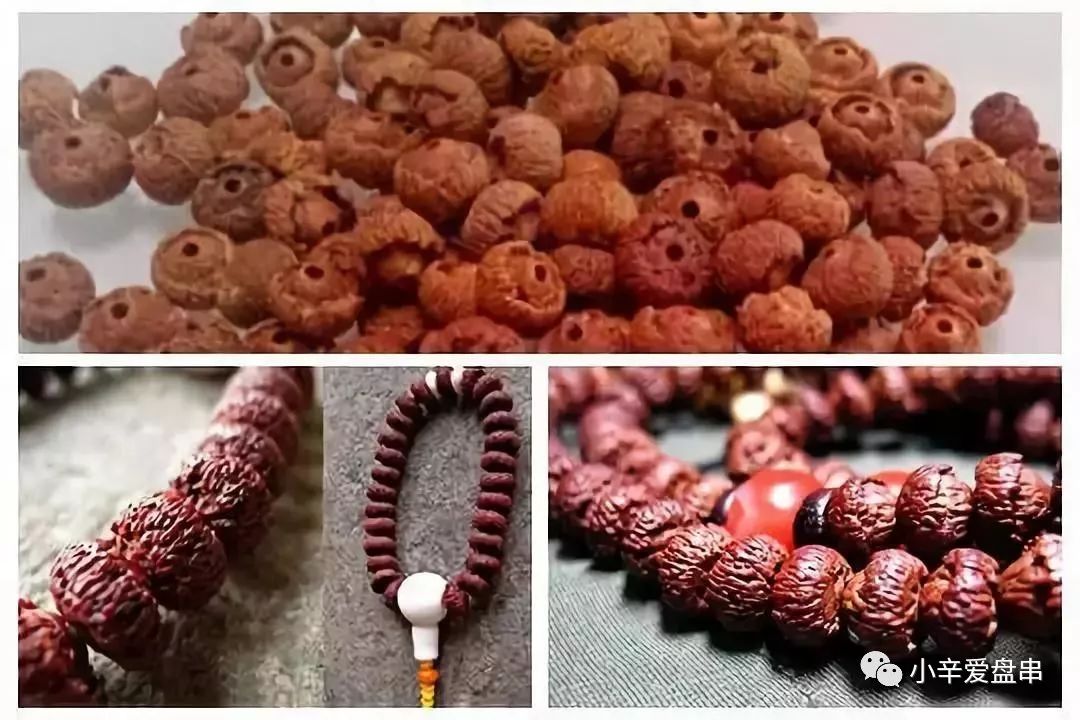 如何判断滴血莲花菩提,滴血莲花菩提怎么区分档次