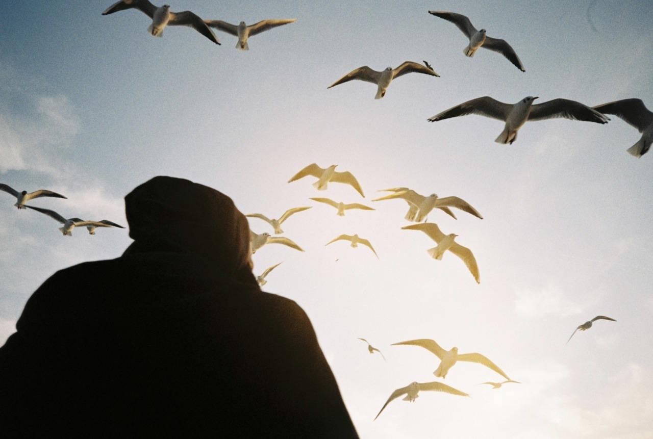 心理学快速拥有好感,心理学对一个人的好感超过四个月