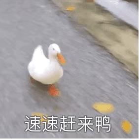 村姑整成鞠婧祎的鼻子变天使,鞠婧祎的鼻子整过吗